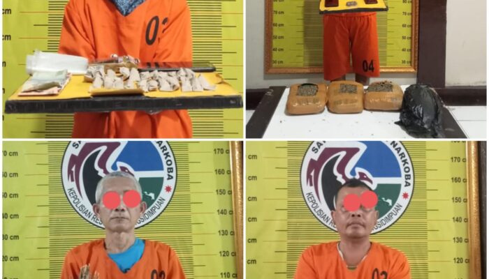Polres Sidimpuan Tangkap 4 Pria Pemilik 3,3 Kg Ganja