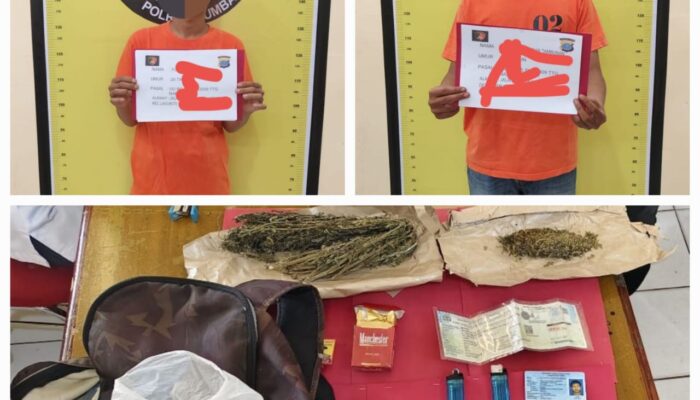 Bawa Ganja, Dua Pemuda Toba Diciduk Polisi
