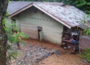 Tangse Longsor Lagi, 6 Rumah Rusak, Jalan Tertimbun Tanah