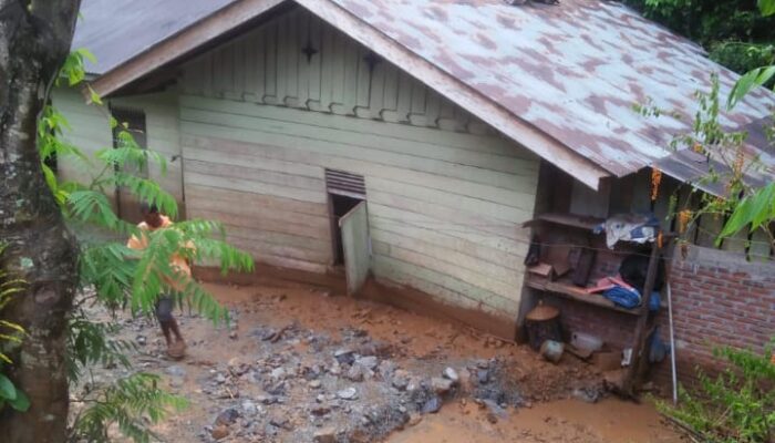 Tangse Longsor Lagi, 6 Rumah Rusak, Jalan Tertimbun Tanah
