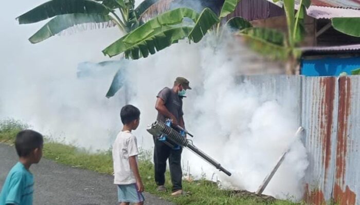 Aceh Singkil Endemis DBD, Hingga Mei Capai 36 Kasus