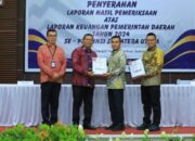BPK RI Berikan Opini WTP Ke 6 Atas LKPD Tahun 2024 Labura
