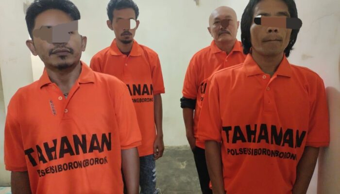 Polres Taput Ringkus 4 Terduga Pencuri Kerbau