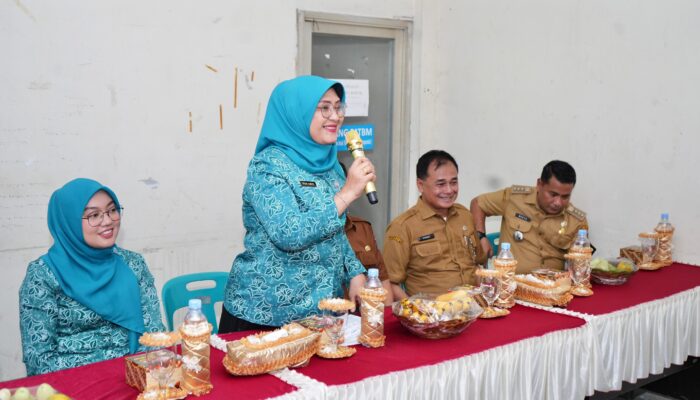Ketua TP PKK Kota Binjai Hadiri Pembinaan BKR Ceria Di Kelurahan Setia