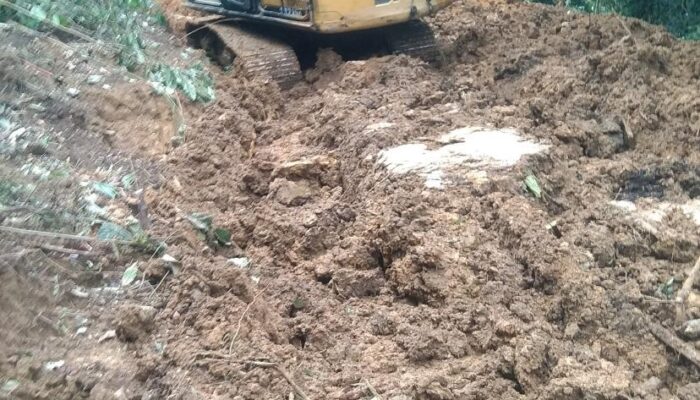 PETI Di Madina Rambah Hutan Lindung Di Tambangan