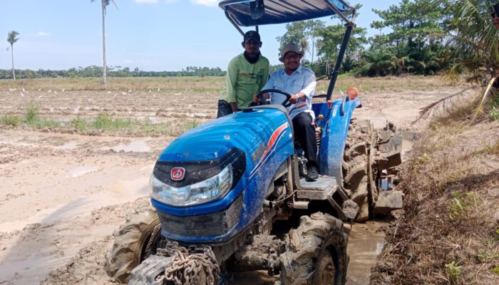 Petani Tanjungberingin Targetkan Panen 2 Kali Setahun