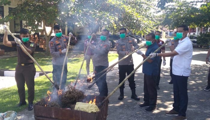 Polres Nagan Raya Musnahkan Ganja, Sabu Dan Obat Keras