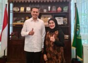 Guru Besar USU Dukung Kiprah Ijeck: Politik Dan Pengabdian Masyarakat