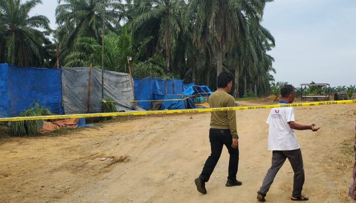 Lokasi “Kencing CPO” Di Torgamba Digrebek Polisi,