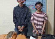 Sat Intelkam Polres Agara Amankan Dua Warga Sumut Bawa Ganja 10 Kg