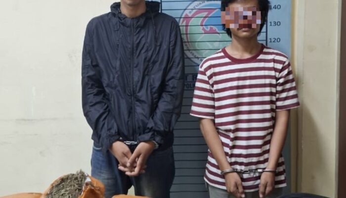 Sat Intelkam Polres Agara Amankan Dua Warga Sumut Bawa Ganja 10 Kg