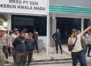 Protes Kerusakan Tebu, Warga Demo PT SGN Kwala Madu