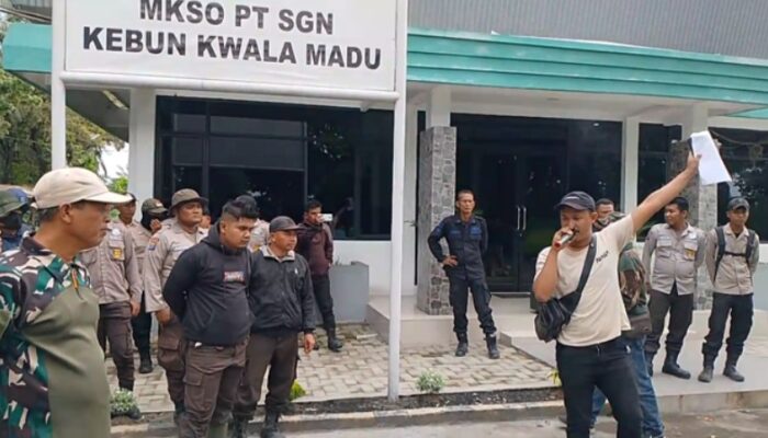 Protes Kerusakan Tebu, Warga Demo PT SGN Kwala Madu
