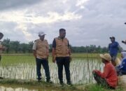 PMP Penyuluhan Di Desa Disambut Positif Petani