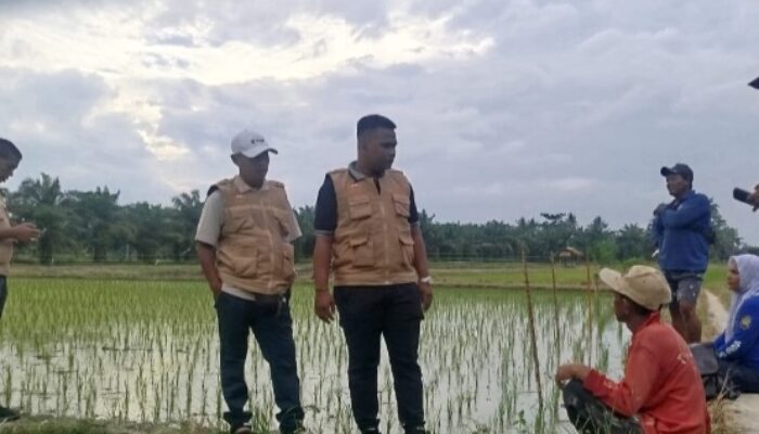 PMP Penyuluhan Di Desa Disambut Positif Petani
