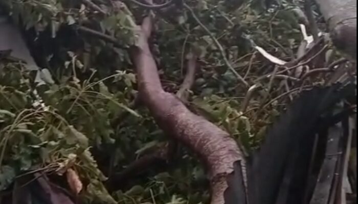 Angin Kencang Landa Bener Meriah Dan Aceh Tengah, Sejumlah Rumah Rusak