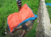 Mayat Mr X Ditemukan Di Belawan Bahari