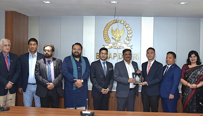 BKSAP Dorong Hubungan Strategis RI-India Lewat BRICS