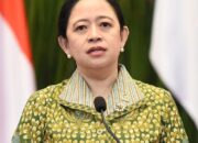 PHK Meningkat, Pemerintah Diminta Dampingi Transisi Pekerja Yang Beralih Ke Sektor Informal