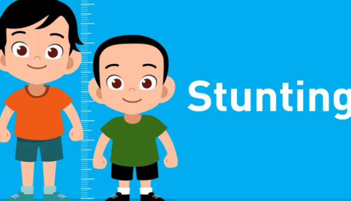 Cegah Stunting, Dinkes Sumut Gencarkan Pemberian Makanan Tambahan