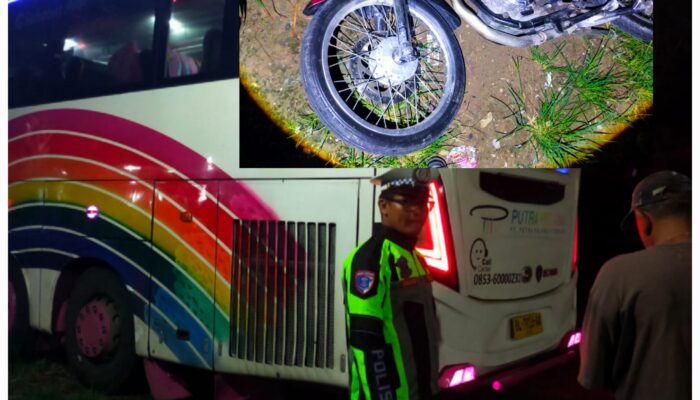 Pengendara Sepeda Motor Tewas Tertabrak Bus