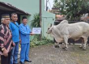Idul Adha 1446 H MUI Sumut Sebarkan Daging Hewan Kurban