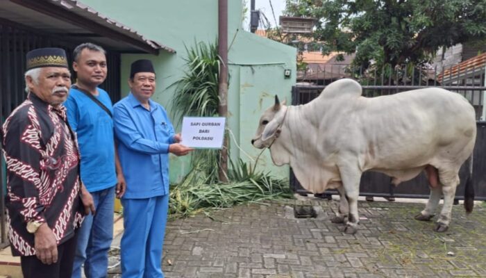 Idul Adha 1446 H MUI Sumut Sebarkan Daging Hewan Kurban