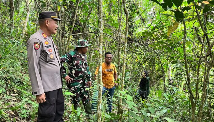 2 Warga Sidimpuan Lihat Harimau Di Kebun Karet, BKSDA Tak Temukan Jejak