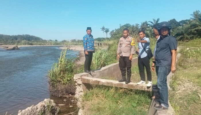 300 Hektare Sawah Di Palas Terancam Alih Fungsi