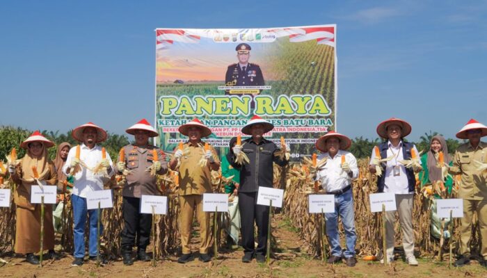 Panen Raya Jagung Sukseskan Swasembada Pangan