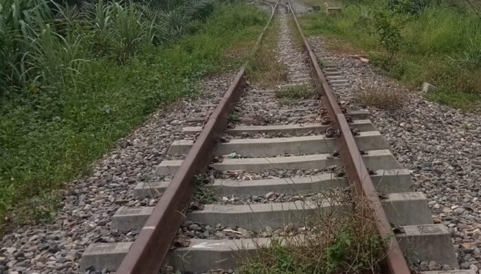 Nasib Pembangunan Jalur KA Memilukan Mangkrak, Korupsi Dan Rel Dijarah Maling