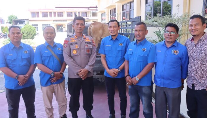PWI Langsa Sembelih Tiga Sapi Untuk Jurnalis Di Idul Adha