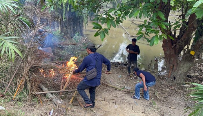 42 Tersangka Narkoba Diringkus Dalam Sebulan