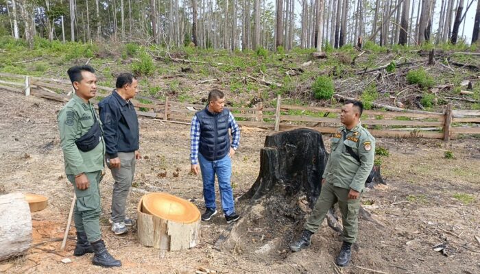 Polisi Dalami Penebangan Hutan Di HKM Dos Roha Samosir