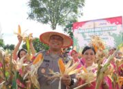 Kapolres Humbahas Panen  Raya Jagung