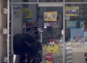 Kerbau Kurban Seruduk Indomaret Di Redelong, Kaca Pintu Pecah