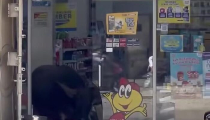 Kerbau Kurban Seruduk Indomaret Di Redelong, Kaca Pintu Pecah
