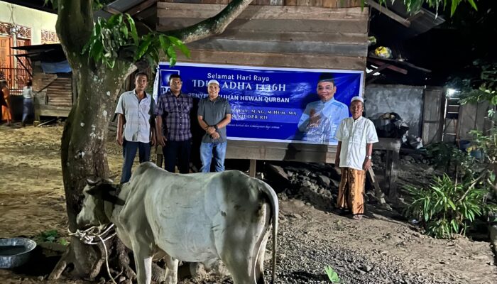 Saleh Partaonan Daulay Salurkan 10 Ekor Hewan Kurban Di Sumut