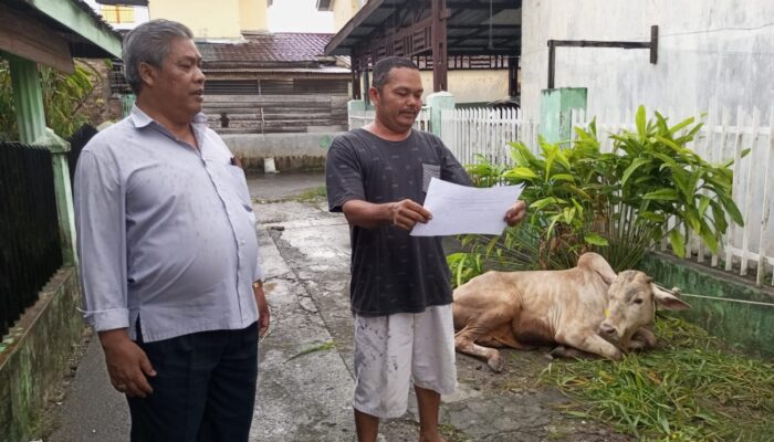 Semarak Idul Adha 1446 H Di Masjid Al-Mukhlishin Medan Tuntungan