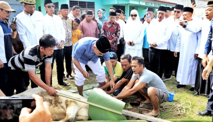 Bupati Simalungun Dan Keluarga Sembelih 6 Sapi, Pemkab Sumbang 30 Ekor