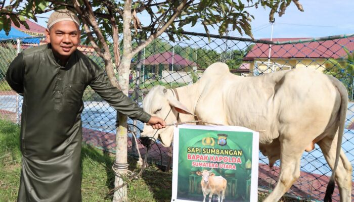Polres Tapteng Sembelih Tujuh Hewan Kurban Idul Adha