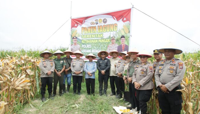 Kapolres Sergai Panen Jagung Serentak Bersama Presiden Prabowo