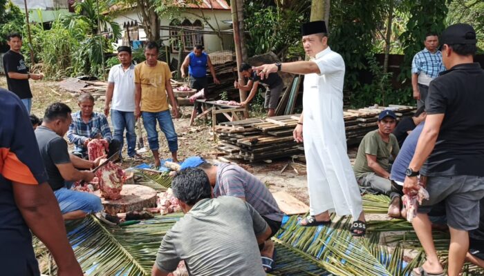 “08 Madina” Berkurban Dengan Masyarakat Dan Ratusan Anak Yatim Piatu