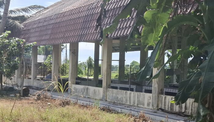 Pasar Ikan Cot Ieju Bireuen Terbengkalai