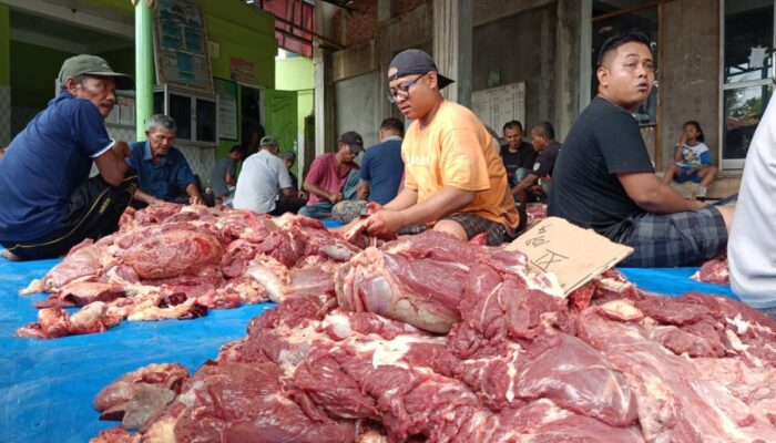 Masjid Nurul Ikhsan Payaroba Sembelih 11 Hewan Kurban
