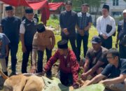 Dengan Gema Takbir, DPW Partai NasDem Sumut Sembelih 3 Ekor Hewan Kurban