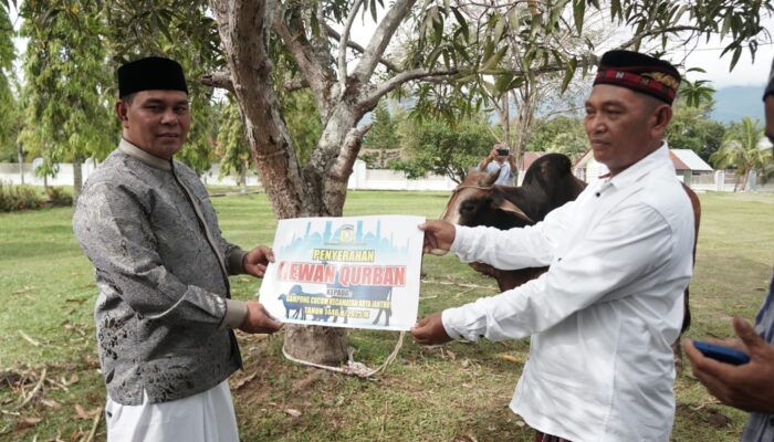 Pemkab Aceh Besar Kurbankan Empat Sapi