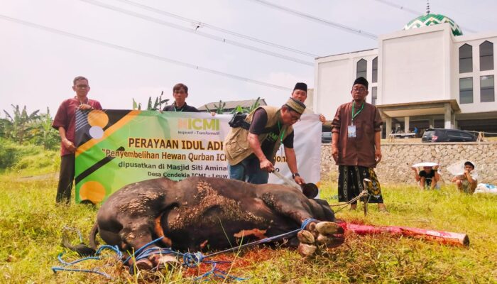 ICMI Berbagi Qurban Serentak se-Indonesia, Ribuan Keluarga Menerima Manfaat