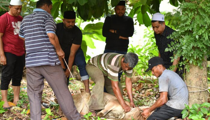 Irfansyah Dan KPA PA Langsa Salurkan Daging Kurban Mualem Ke Inong Bale