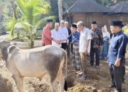 Kemenag Palas Sembelih 21 Sapi Untuk Idul Adha